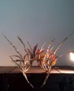 The Lord of the Rings Thranduil Elf Cosplay Crown Hobbit Jrcos